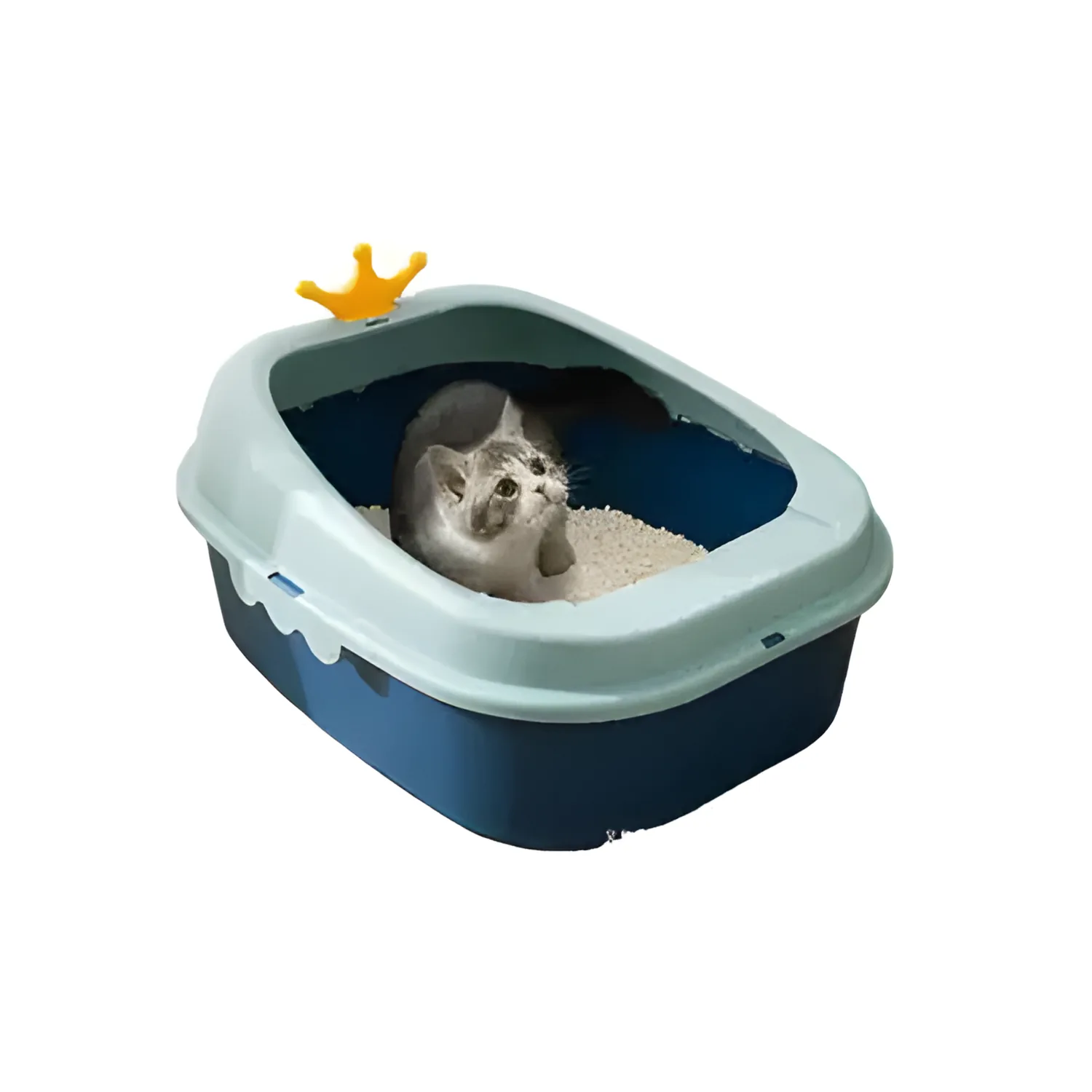 Arenero Semi Cerrado Grande para Gato